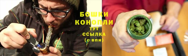 шишки Вяземский