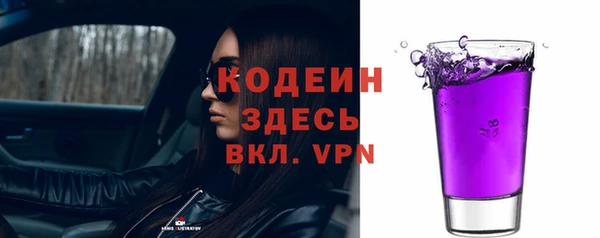 шишки Вяземский