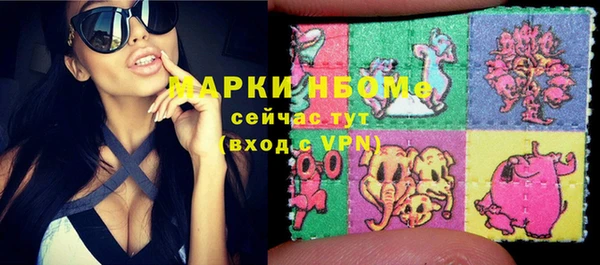 шишки Вяземский