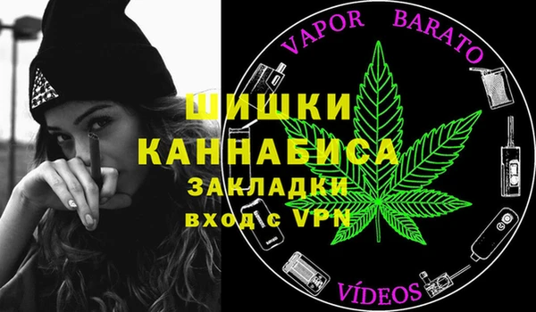 шишки Вяземский