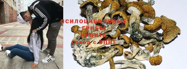 шишки Вяземский
