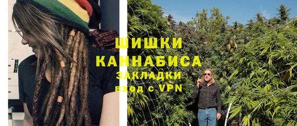 шишки Вяземский