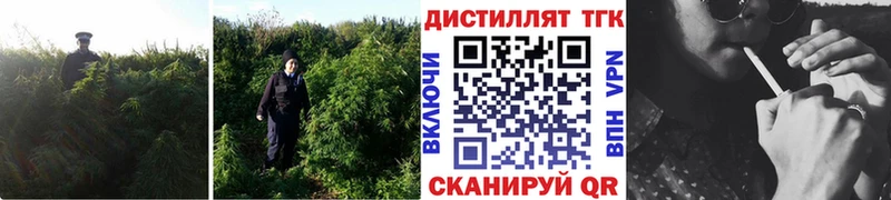 где найти наркотики Одинцово дарк нет телеграм Дистиллят ТГК гашишное масло